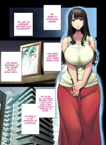 Wild-shiki