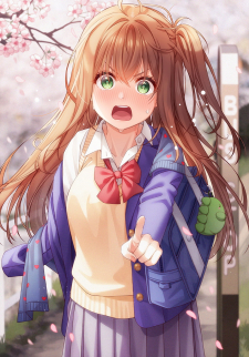 17055