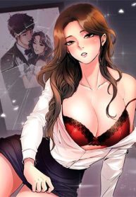 11426