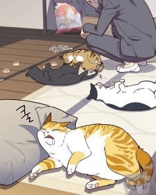 2896