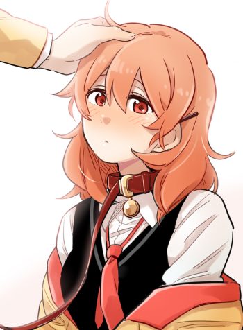 12798