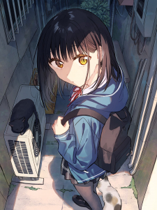 6008